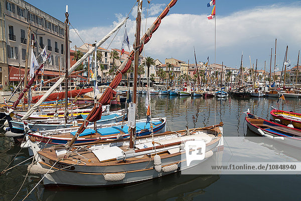 Traditional fishing boats moored in the harbour at Sanary-sur-Mer  Provence  France  Europe