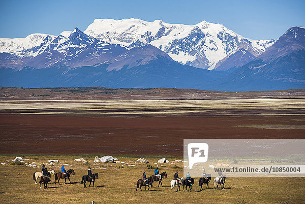 Horse trek on an estancia (farm)  El Calafate  Patagonia  Argentina  South America