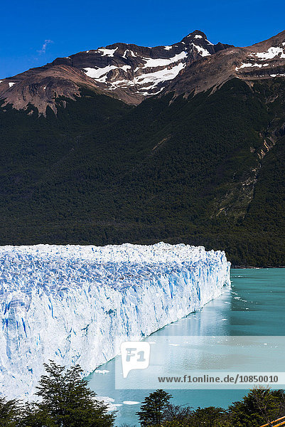 Perito Moreno Glaciar  Los Glaciares National Park  UNESCO Weltkulturerbe  in der Nähe von El Calafate  Patagonien  Argentinien  Südamerika