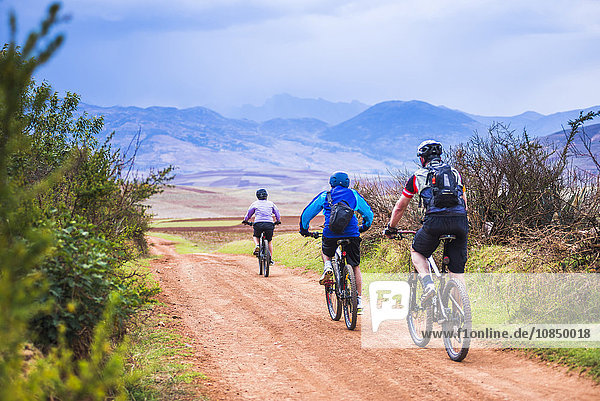 Cusco (Cuzco)  cycling in the countryside near Maras  Cusco Province  Peru  South America