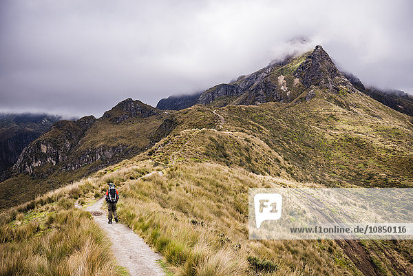 Wanderer beim Trekking auf dem Vulkan Rucu Pichincha  Quito  Provinz Pichincha  Ecuador  Südamerika