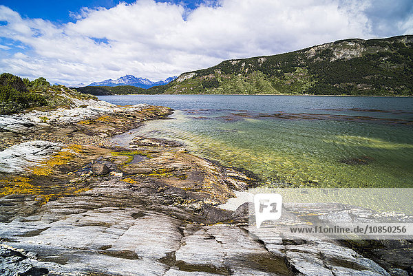 Tierra Del Fuego National Park Ushuaia Patagonia Argentina South America