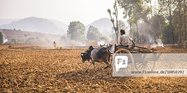 Landwirtschaft zwischen dem Inle-See und Kalaw  Shan-Staat  Myanmar (Birma)  Asien