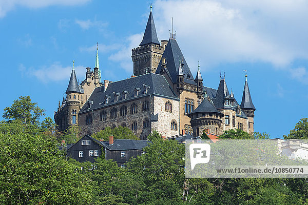 Schloss Wernigerode  Harz  Sachsen-Anhalt  Deutschland  Europa