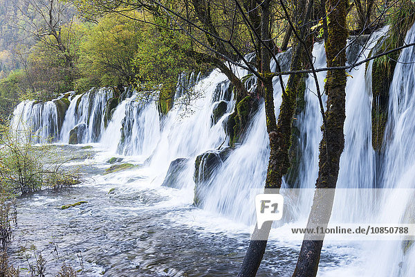Pfeil-Bambussee-Wasserfälle  Jiuzhaigou-Nationalpark  UNESCO-Welterbe  Provinz Sichuan  China  Asien
