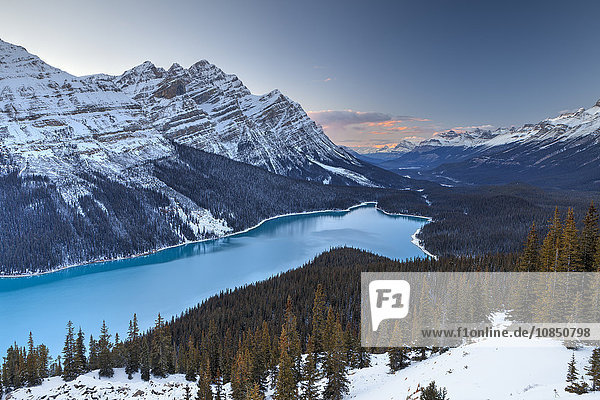 Peyto Lake at Sunset  Banff National Park  UNESCO World Heritage Site  Rocky Mountains  Alberta  Canada  North America