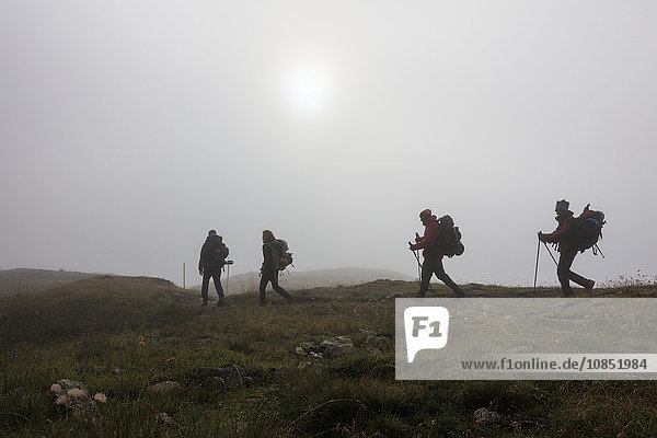 Wanderer in der nebligen Landschaft in der Morgendämmerung  Minor-Tal  Hoch-Valtellina  Livigno  Lombardei  Italien  Europa