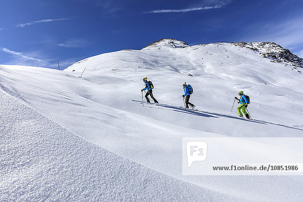 Alpine skiers proceed at high altitude on a sunny day in the snowy landscape  Stelvio Pass  Valtellina  Lombardy  Italy  Europe