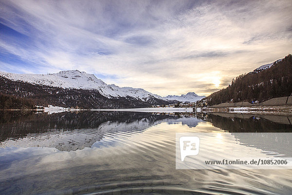 Snowy peaks and woods are reflected in Lake Silvaplana at sunset  Maloja  Canton of Graubunden  Engadine  Switzerland  Europe