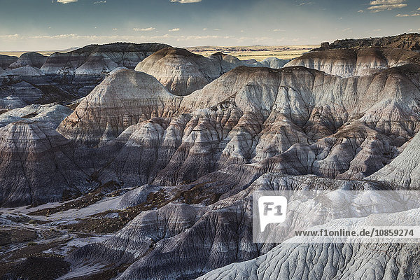 Blue Mesa Petrified Forest National Park Arizona Vereinigte Staaten von Amerika