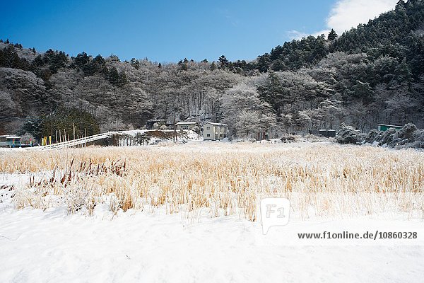 Schneebedeckte Landschaft Kawaguchiko-See Berg Fuji Japan