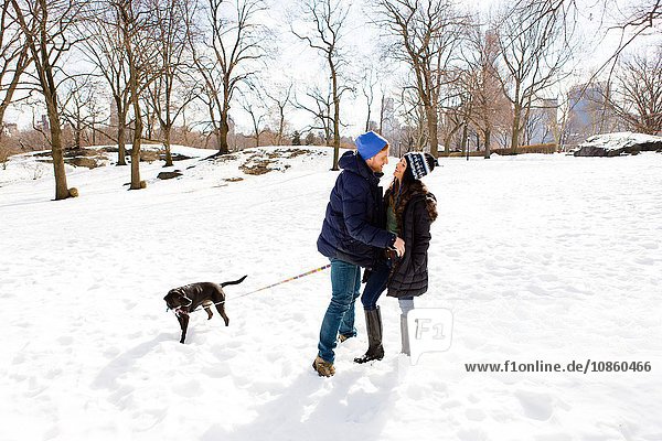 Romantic young couple standing together in snow with dog  Central Park  New York  USA