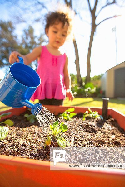 Junges Mädchen im Garten  hält Giesskanne  giesst Pflanzen in Kübel