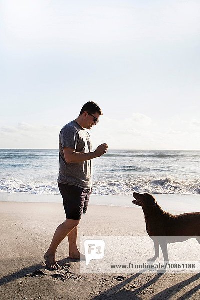 Mittelgroßer erwachsener Mann und Hund,  die zusammen am Strand spielen