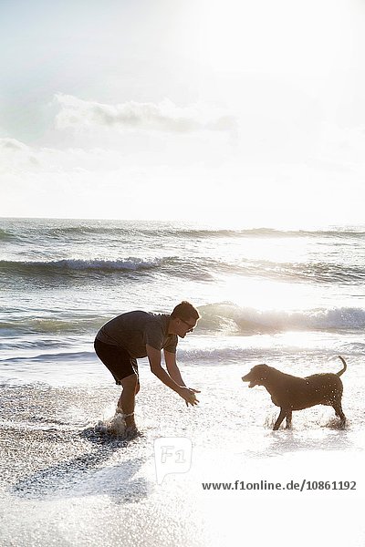 Mid adult man and dog  playing together on beach