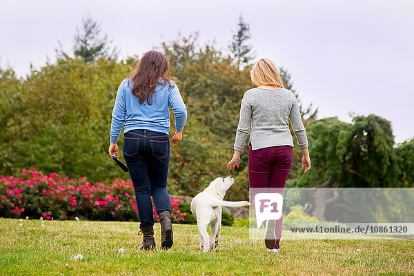 Zwei junge Frauen beim Hundespaziergang im Park  Rückansicht