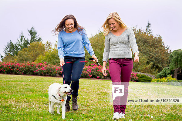 Zwei junge Frauen gehen im Park mit dem Hund spazieren