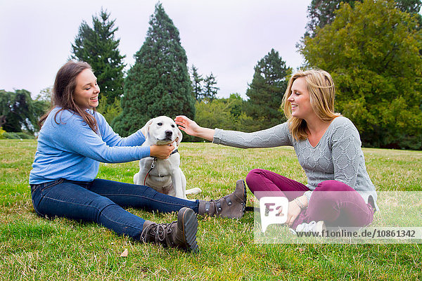 Zwei junge Frauen spielen mit Hund im Park