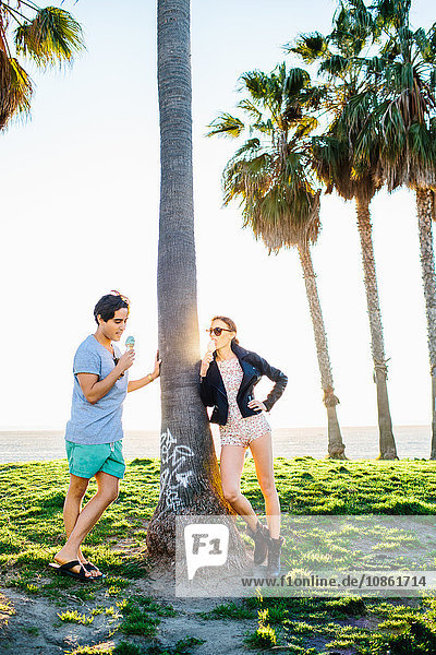 Young couple leaning against sunlit palm tree eating ice cream cones  Venice Beach  California  USA