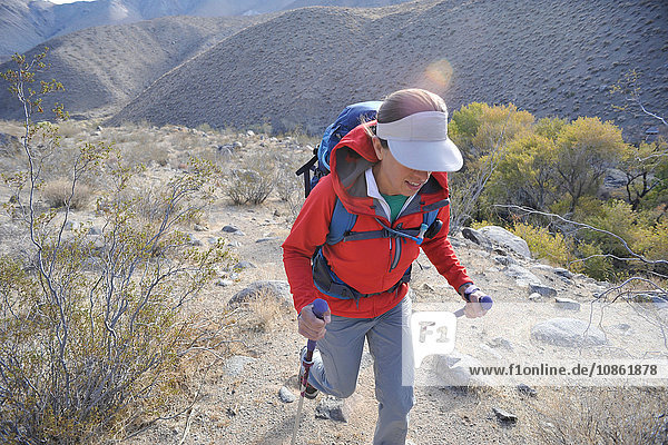Wanderer erkundet Wüste  Cottonwood Canyon  Death Valley National Park  Kalifornien