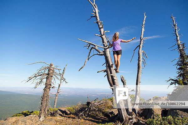 Junge Frau steht auf totem Baum  Black Buttes  Oregon  USA