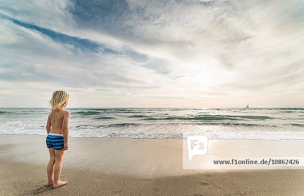 Junge schaut von Venice Beach  Kalifornien  USA  aufs Meer hinaus
