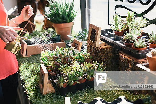 Florist watering plants in flower shop mid section