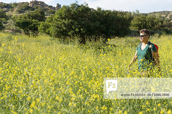 Wanderfrau auf Wildblumenwiese