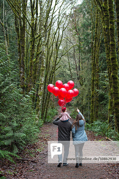 Rückansicht von Eltern  die ein Kleinkind auf den Schultern tragen  mit einem Bündel roter Luftballons im Wald