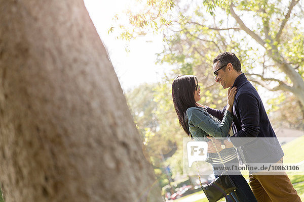 Ein Paar im Park umarmt sich von Angesicht zu Angesicht und lächelt