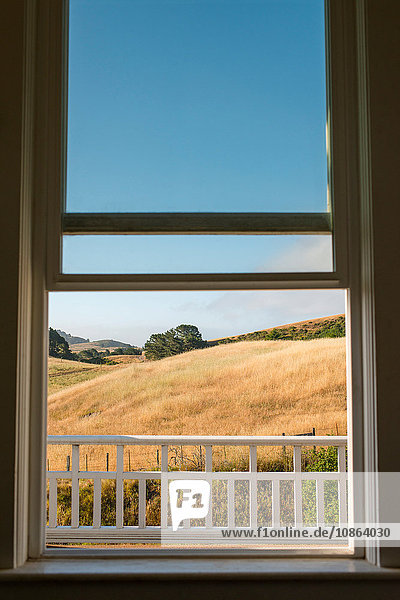 Blick vom Schlafzimmerfenster auf den grasbewachsenen Hügel