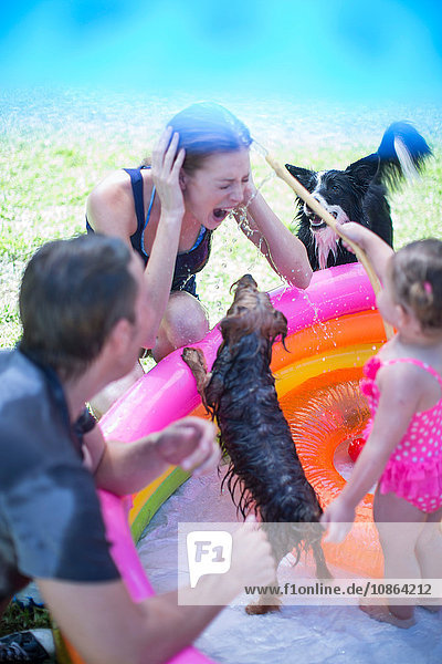 Eltern  Tochter und Haushunde spielen im aufblasbaren Pool