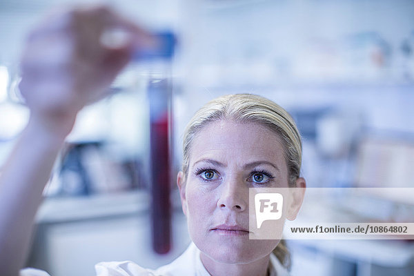 Mittlere erwachsene Frau im Labor  untersucht Reagenzglas
