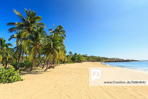 Goldener Strand und Palmen im Hulopo'e Beach Park  Lanai Island  Hawaii  USA