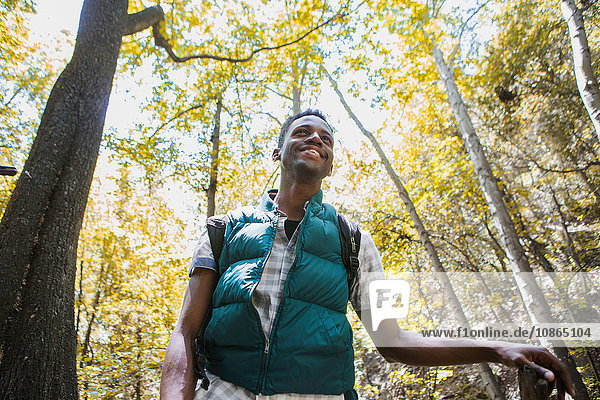 Junge männliche Wanderer wandern im Wald  Arcadia  Kalifornien  USA