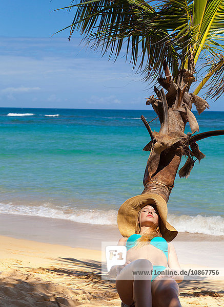 Junge Frau im Bikini beim Sonnenbad auf Palme am Strand  Dominikanische Republik  Karibik