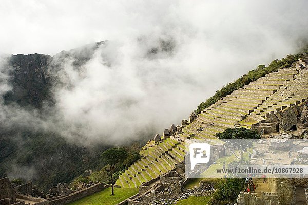 Frühmorgendlicher Nebel in Machu Picchu Peru