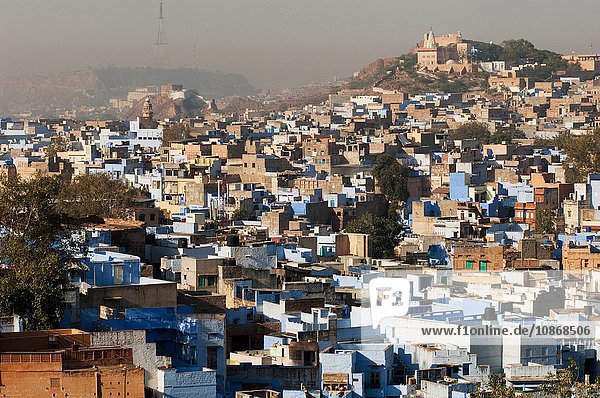 View of Jodhpur referred to as the Sun City or the Blue City Rajasthan India