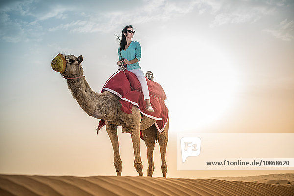 Weibliche Touristin reitet Kamel in der Wüste  Dubai  Vereinigte Arabische Emirate