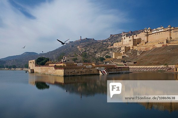 Amer Fort Rajasthan Indien