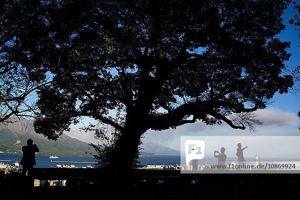 Menschensilhouette und Baum vor dem Berg Sakurajima  Japan