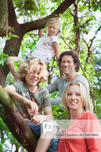 Family in forest climbing tree looking at camera smiling