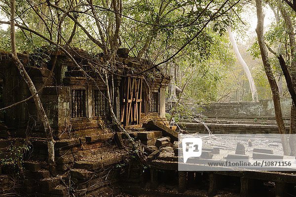 Ruinen Beng Mealea Koh Ker Kambodscha