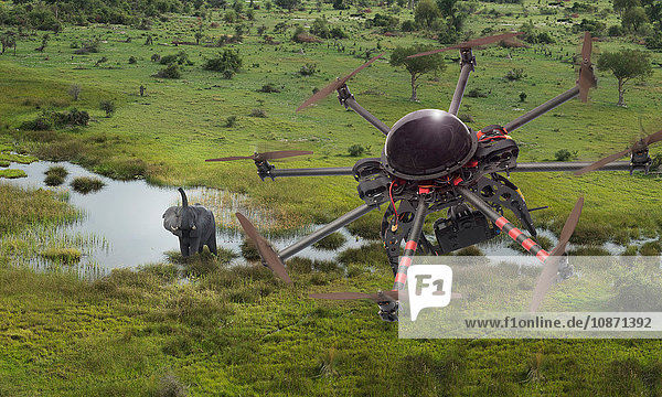 Hochwinkelaufnahme einer Drohne  die über einen Elefanten fliegt  Okavango-Delta  Botswana