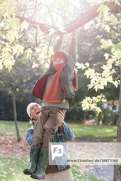Boy swinging on tree branch  father holding him steady  laughing