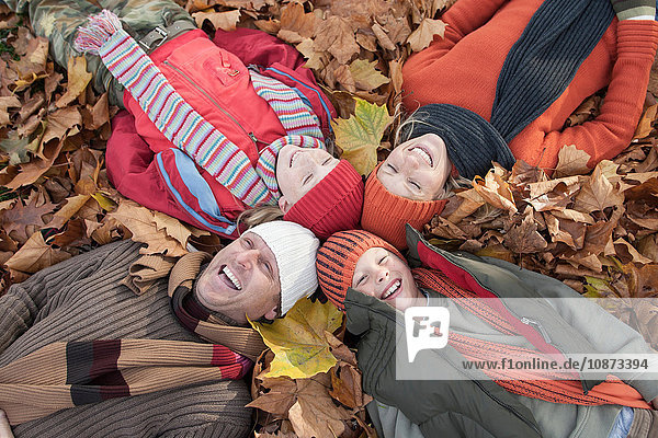 Family lying together in autumn leaves  laughing