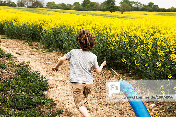 Rückansicht eines Jungen  der entlang einer gelben Blumenfeldspur läuft und einen Fischdrachen zieht