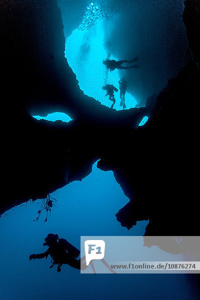 Taucher beim Schwimmen in Höhlensystem  Moalboal  Cebu  Philippinen