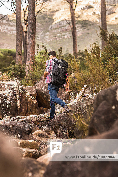 Male hiker hiking down forest rock formation Deer Park Cape Town South Africa