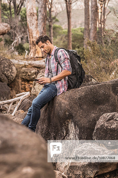 Male hiker reading smartphone texts on forest rock formation  Deer Park  Cape Town  South Africa